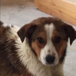 Meet your Posher, Edith